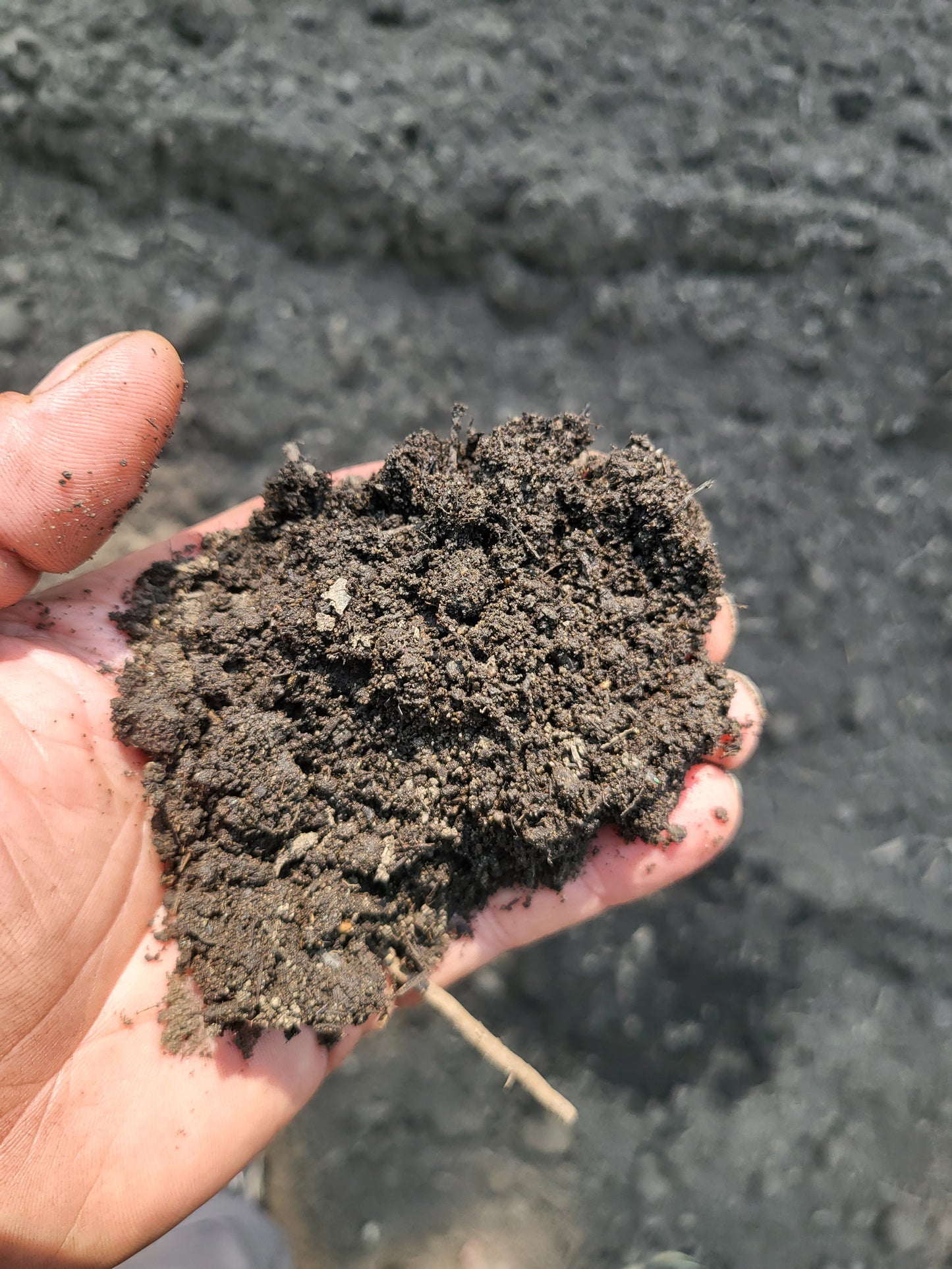 50/50 Certified Organic Compost/Topsoil