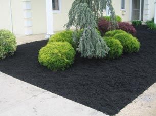 Black Mulch