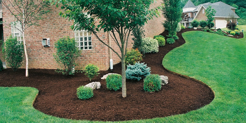 Dark Brown Mulch