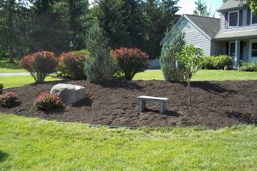 Dark Brown Mulch